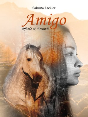 cover image of Amigo